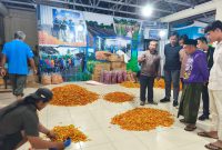 Petani milenial Sumenep saat melakukan studi banding ke Yogyakarta.