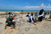 Aksi tanam 2.000 Cemara Udang di Pantai Beringin. 