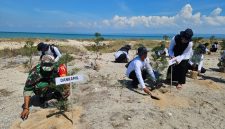Aksi tanam 2.000 Cemara Udang di Pantai Beringin. 