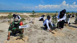 Aksi tanam 2.000 Cemara Udang di Pantai Beringin. 