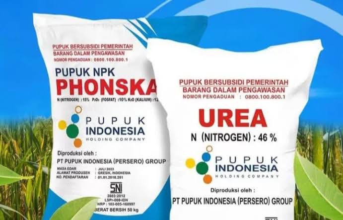 Harga pupuk bersubsidi turun