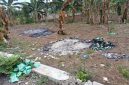 Tempat Pembuangan Sampah yang Diduga Milik CV Laju Jaya Cemerlang