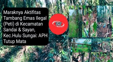 Aktivitas Tambang Emas Ilegal di Hulu Sungai Kecamatan Sandai & Sayan Beroperasi Seperti Kebal Hukum