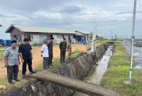 FOTO: Pansus saat mengecek tambak udang di Juruan Daja yang tanpa Ipal dan langsung ke laut.