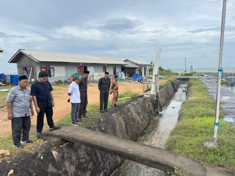 FOTO: Pansus saat mengecek tambak udang di Juruan Daja yang tanpa Ipal dan langsung ke laut. 